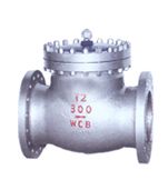 check valve